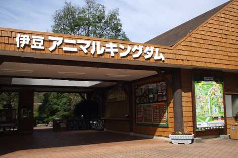 伊豆アニマルキングダム 熱海 伊東 東伊豆 テーマパーク 遊園地 の施設情報 いつもnavi 伊豆アニマルキングダム 熱海 伊東 東伊豆 テーマパーク 遊園地 の施設情報 いつもnavi