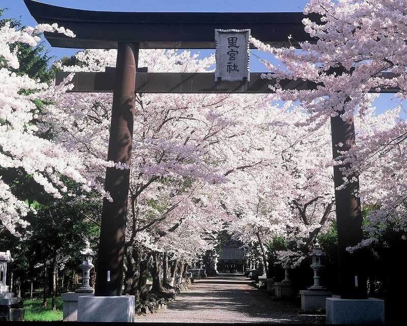 冨士御室浅間神社の画像