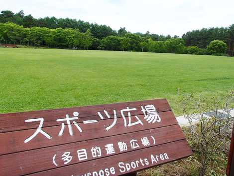 富士パインズパーク 富士吉田 近隣公園 の施設情報 いつもnavi