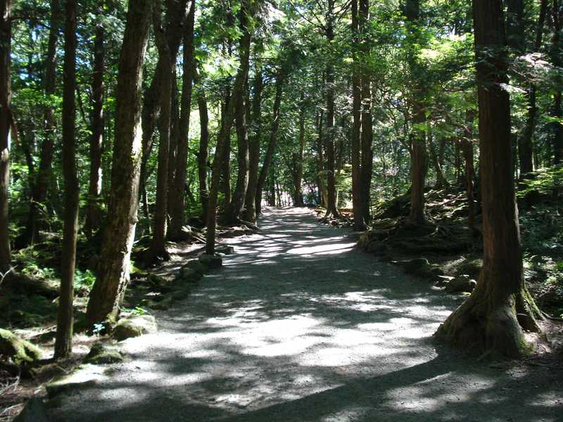 富岳風穴の画像