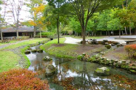 さかな公園の画像