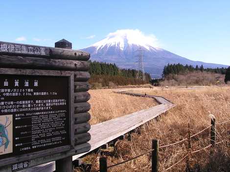 小田貫湿原の画像