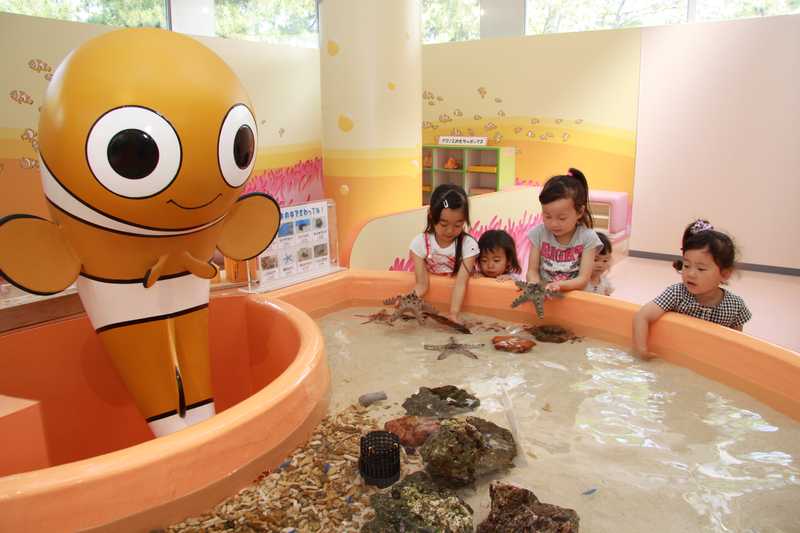 東海大学海洋科学博物館 自然史博物館 静岡清水 庵原 の施設情報 ゼンリンいつもnavi