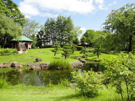 万葉の森公園の画像