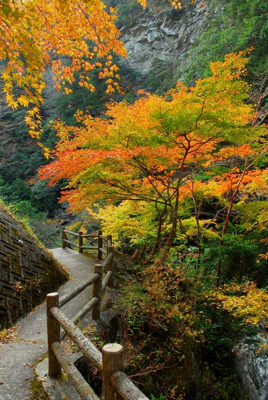 白倉峡の画像