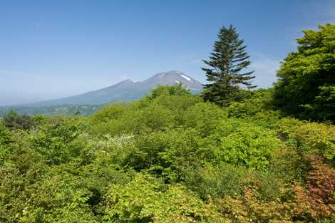 碓氷峠の遊歩道の画像