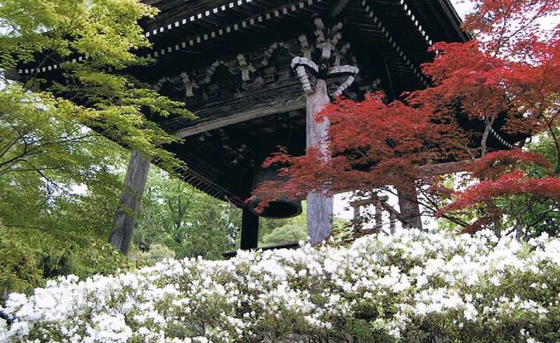 天照寺の画像