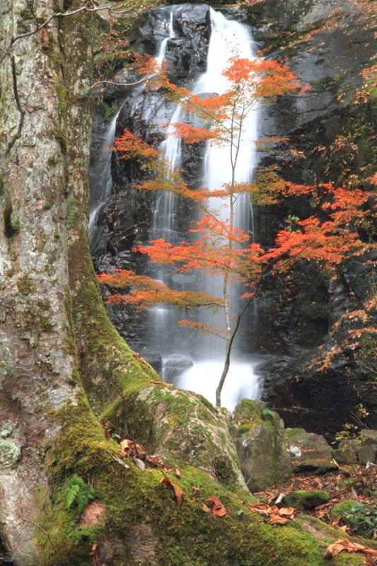 施設の画像