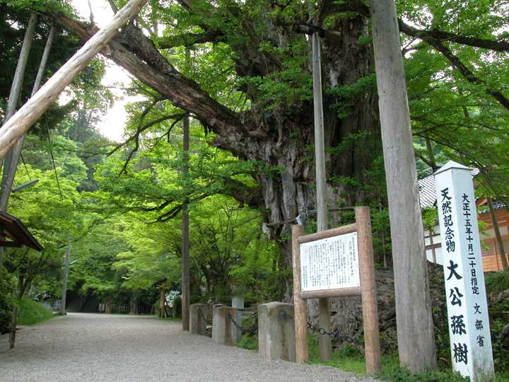 上日寺の画像