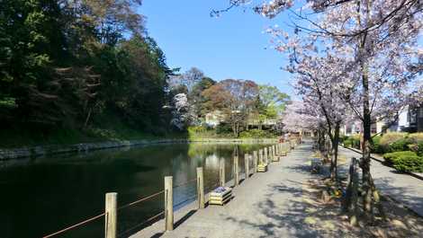 大手堀の画像