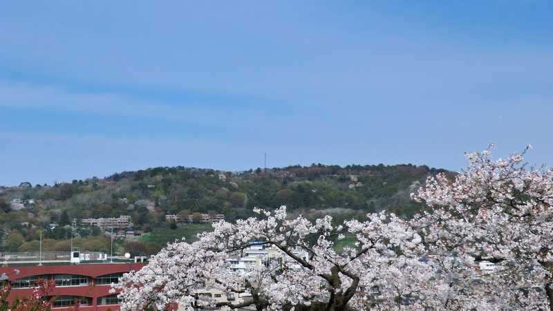 卯辰山公園の画像