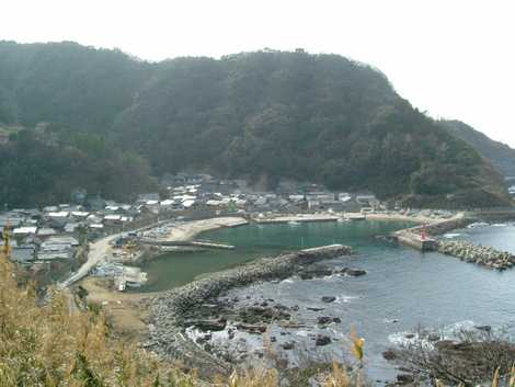 西保海岸 西保海岸の画像