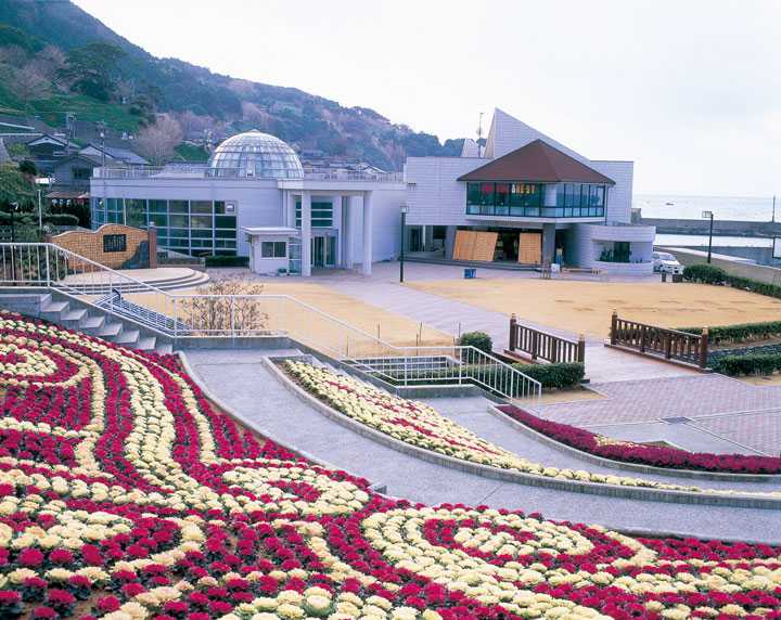 越前水仙の里公園の画像