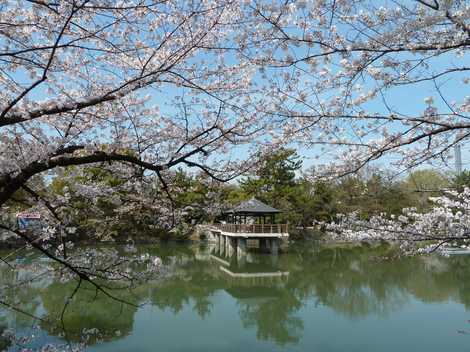 鶴舞公園の画像