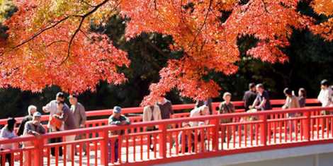 香嵐渓の画像