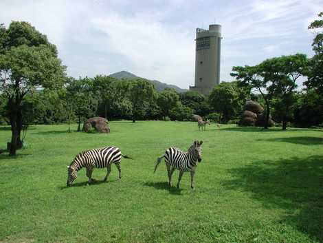 豊橋総合動植物公園の画像