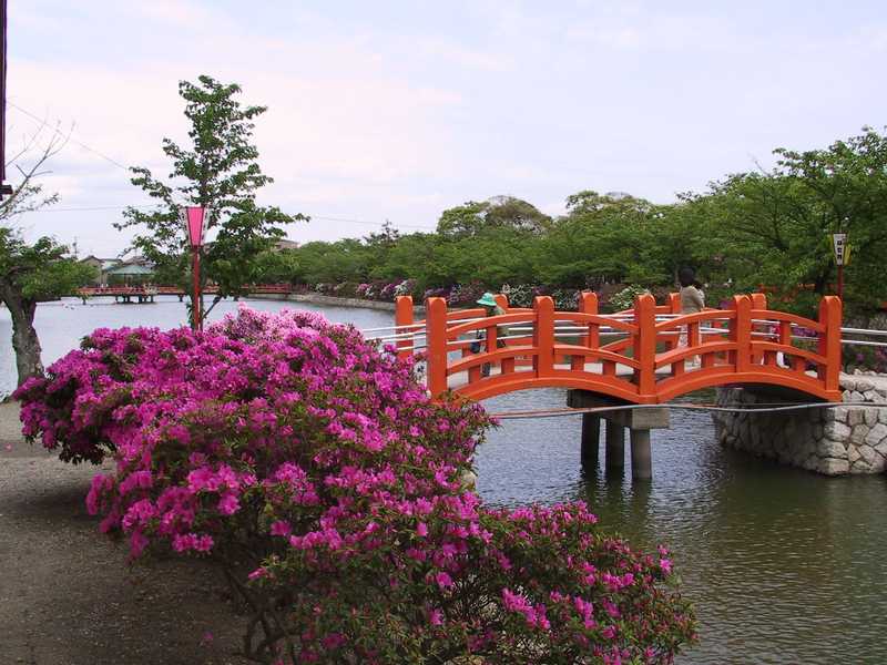 九華公園の画像