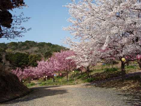 創造の森横山の画像