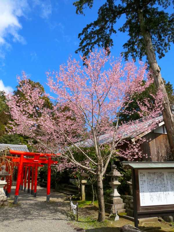 加佐登神社の画像