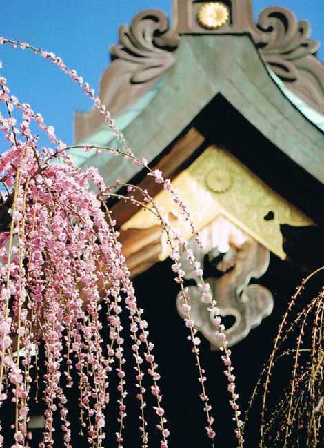 結城神社 結城神社の画像