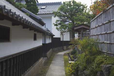 歴史の散歩道の画像