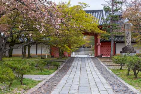 真正極楽寺の画像