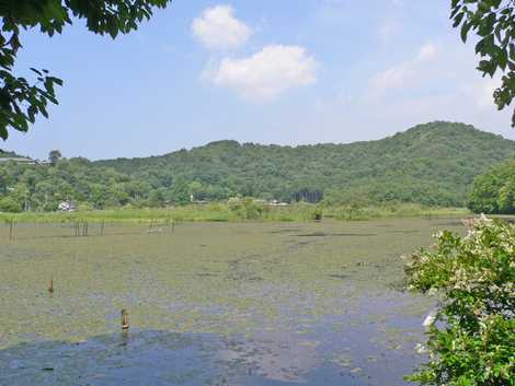 深泥池の画像