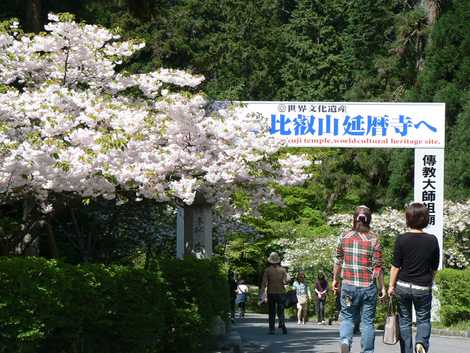 比叡山延暦寺西塔の画像