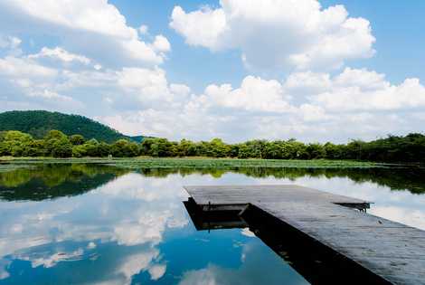 大沢池の画像