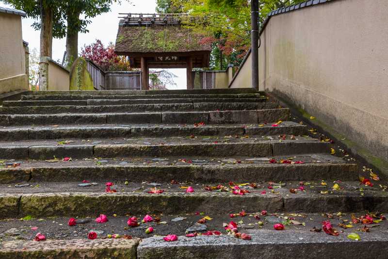 瑞光寺の画像