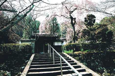 岩屋寺の画像