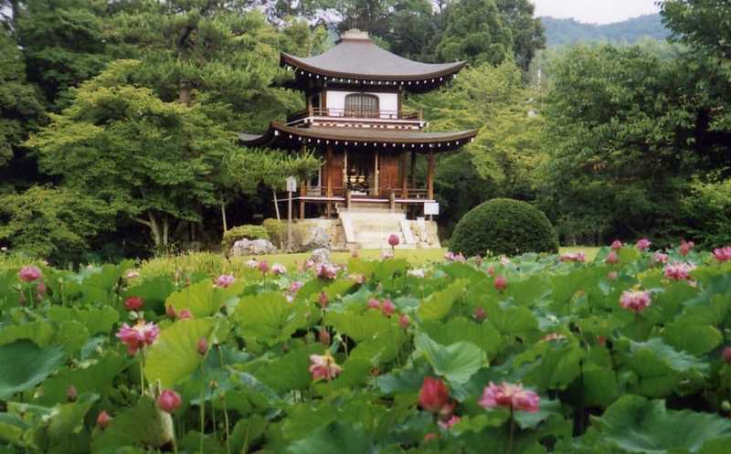 勧修寺の画像