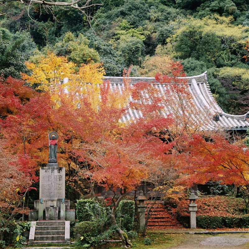 善法律寺の画像