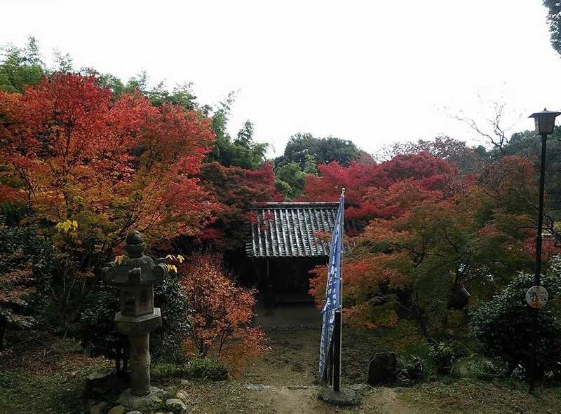 東明寺の画像