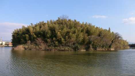 島の山古墳の画像