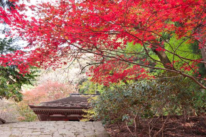 室生寺の画像