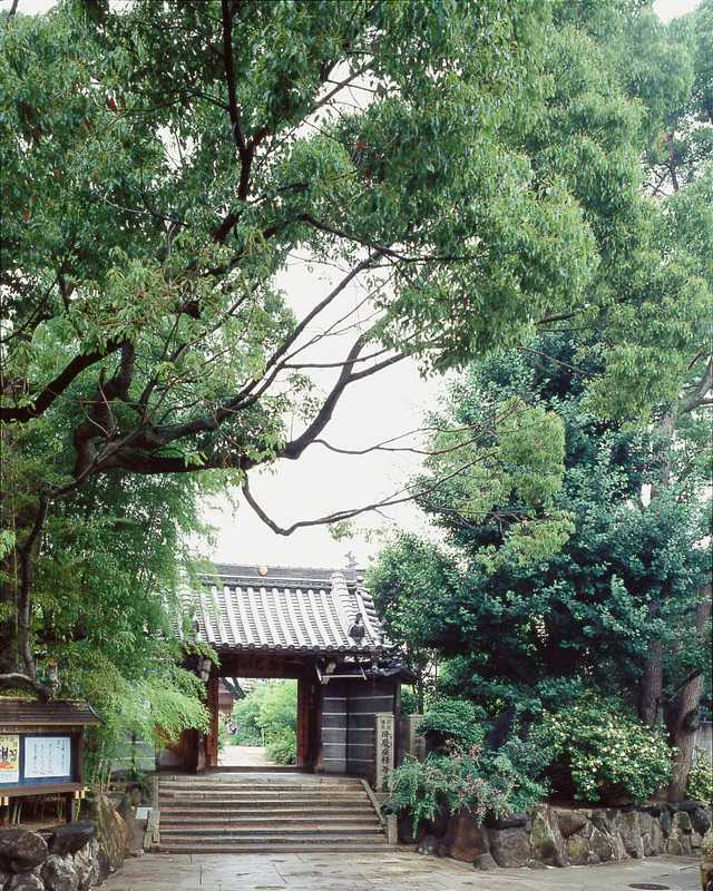 萩の寺（東光院）の画像