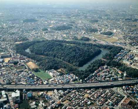 應神天皇惠我藻伏岡陵の画像