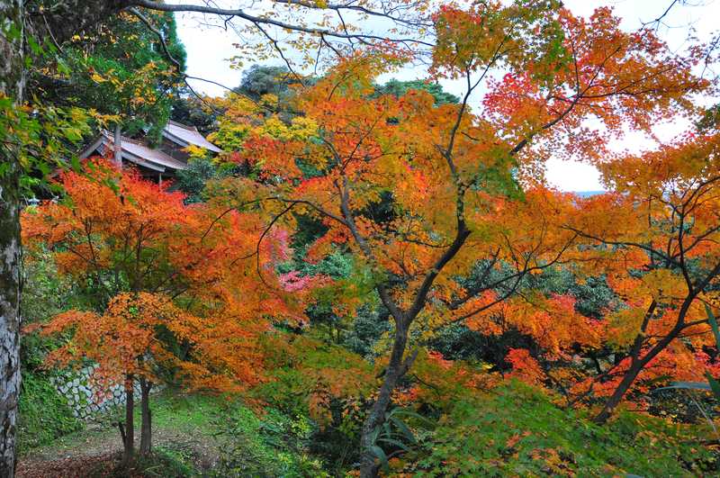 鹿野城跡公園 鳥取 の施設情報 ゼンリンいつもnavi