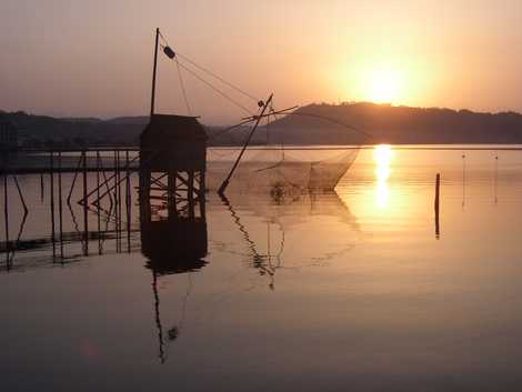 東郷湖の画像