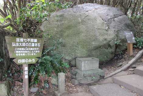 自然遊歩道（椿のトンネル）の画像