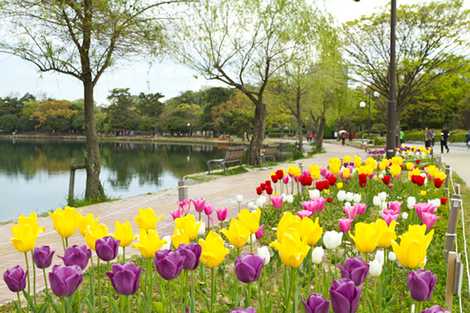 大濠公園 大濠公園の画像