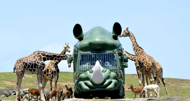 九州自然動物公園アフリカンサファリ 国東 宇佐 の施設情報 ゼンリンいつもnavi