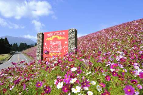 生駒高原 生駒高原の画像