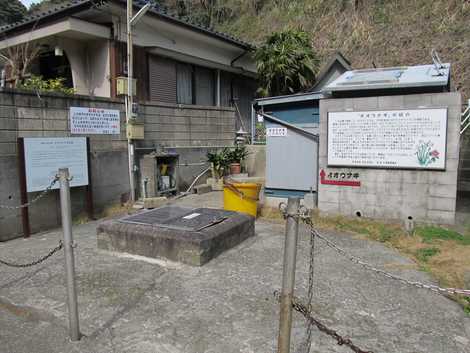 オオウナギ生息地の画像