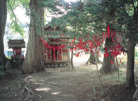 卯子酉様 盛岡 寺院 神社 神宮 の施設情報 いつもnavi