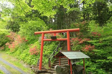 施設の画像