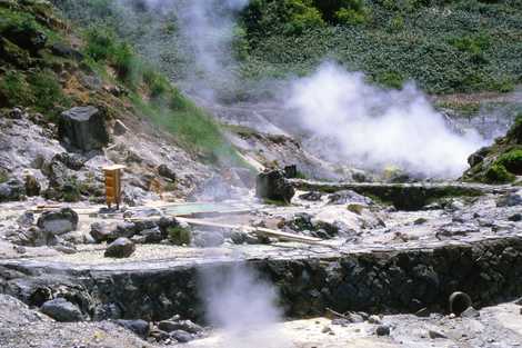 玉川自然研究路の画像