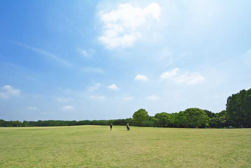 都立水元公園の画像