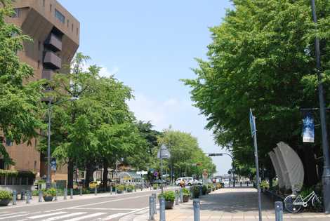 日本大通り 日本大通りの画像